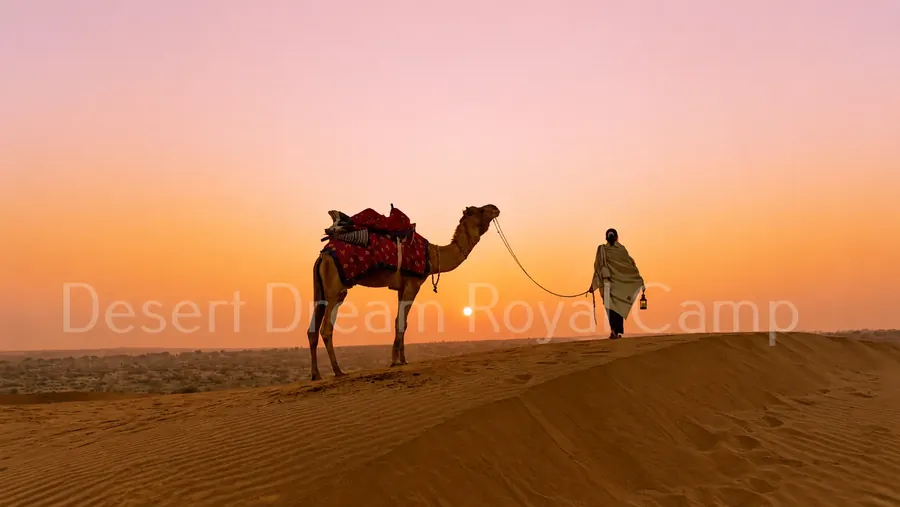 Camel and guide walking the dunes at sunset